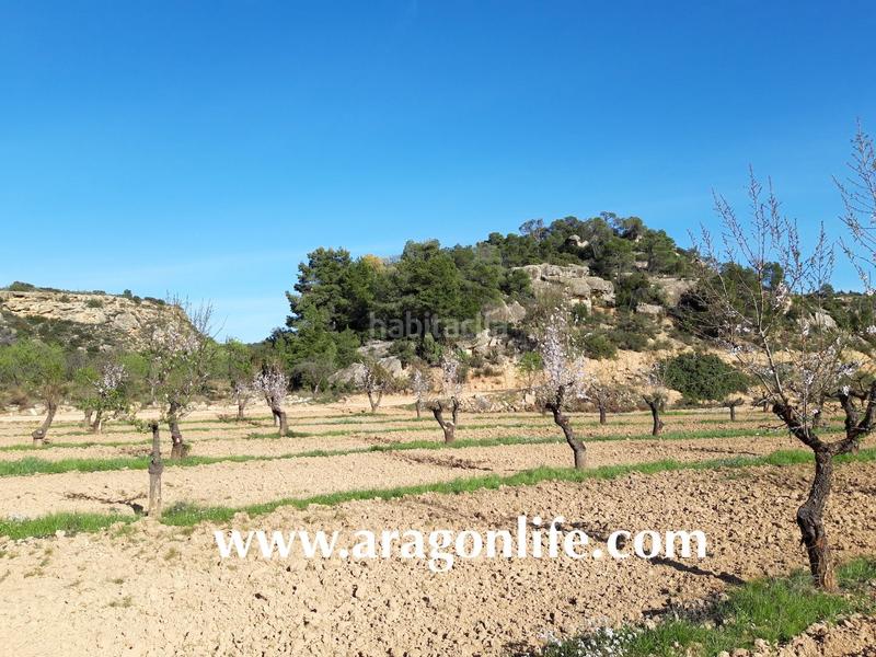 Foto fbf4959c-18b1-4e5e-af4d-9a1848a788a2. Finca rústica a Maella