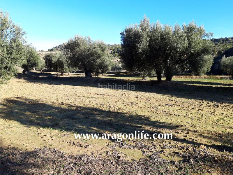 Foto 91dacf00-0c85-4eee-abd3-8f85d96d337e. Finca rústica a Maella