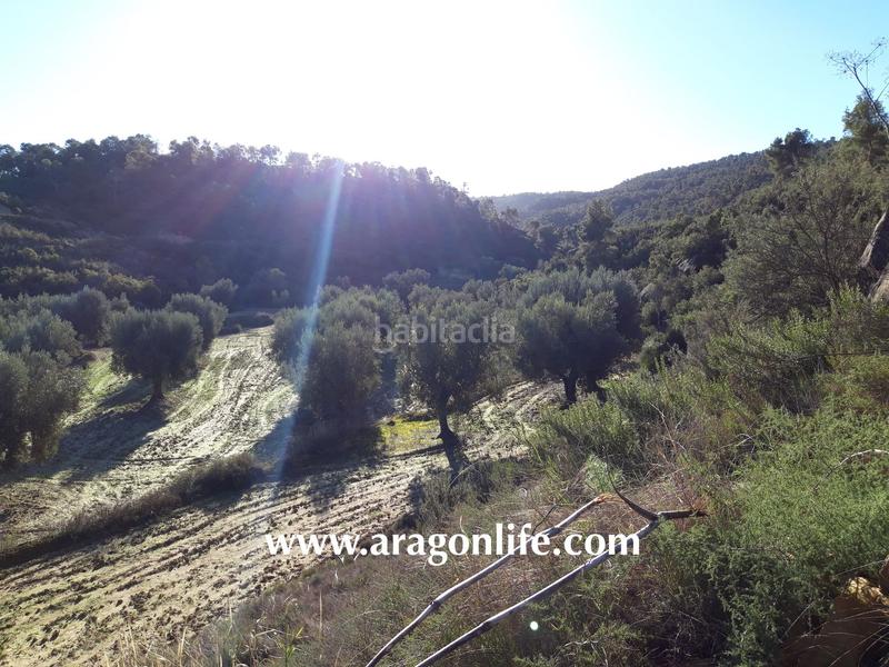 Foto c382da22-627c-489b-88fa-387a8ffe61c5. Finca rústica a Maella