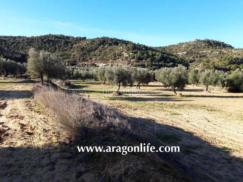 Foto ce4a3279-7162-4088-b252-7dc110f6c1d7. Finca rústica a Maella
