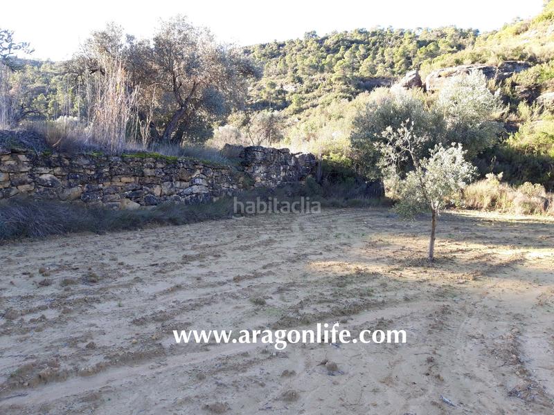 Foto cf0d9e13-835e-4b0c-9664-fec015284a68. Finca rústica a Maella