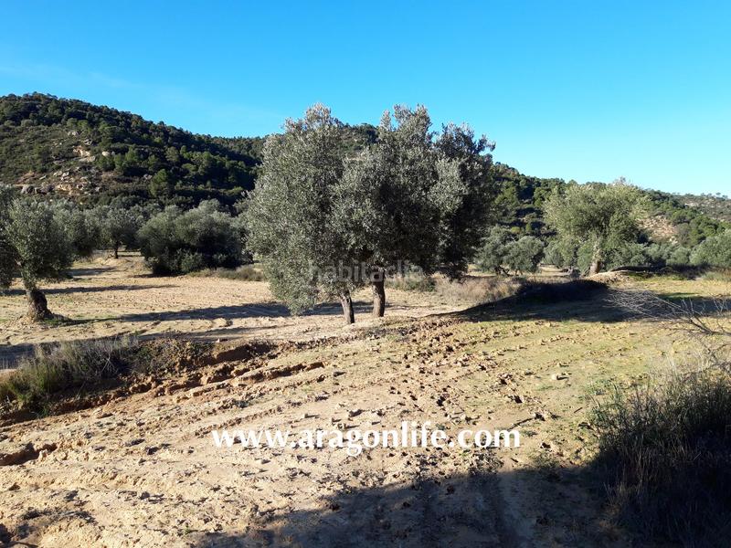 Foto d15b3982-b498-4b47-828c-b4d31597d157. Finca rústica a Maella