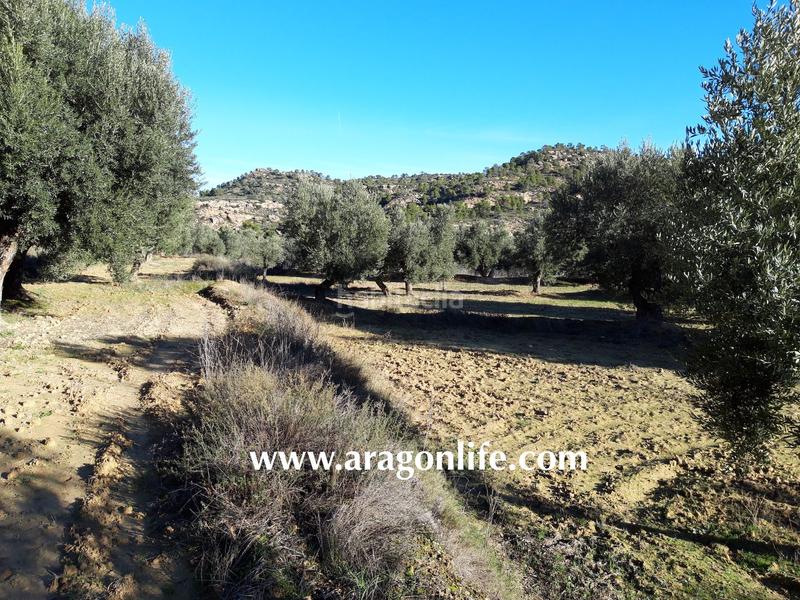Foto e45ac2bf-13d1-40f6-ba31-13e79c078c75. Finca rústica a Maella