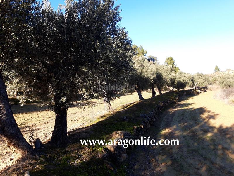 Foto fe1391a1-7bb1-4602-a7c2-1c76582eceb1. Finca rústica a Maella