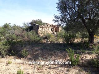 Finca rústica a Maella. Finca cerca del río matarraña y cerca de maella