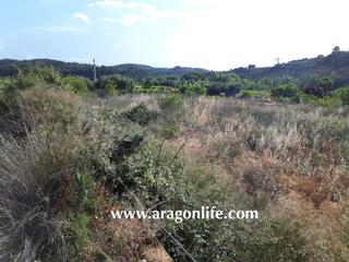 Terreny residencial a Maella. Finca cerca del río matarraña