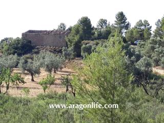 Finca rústica a Mazaleón. Sitio con total privacidad rodeado de naturaleza por todos los l
