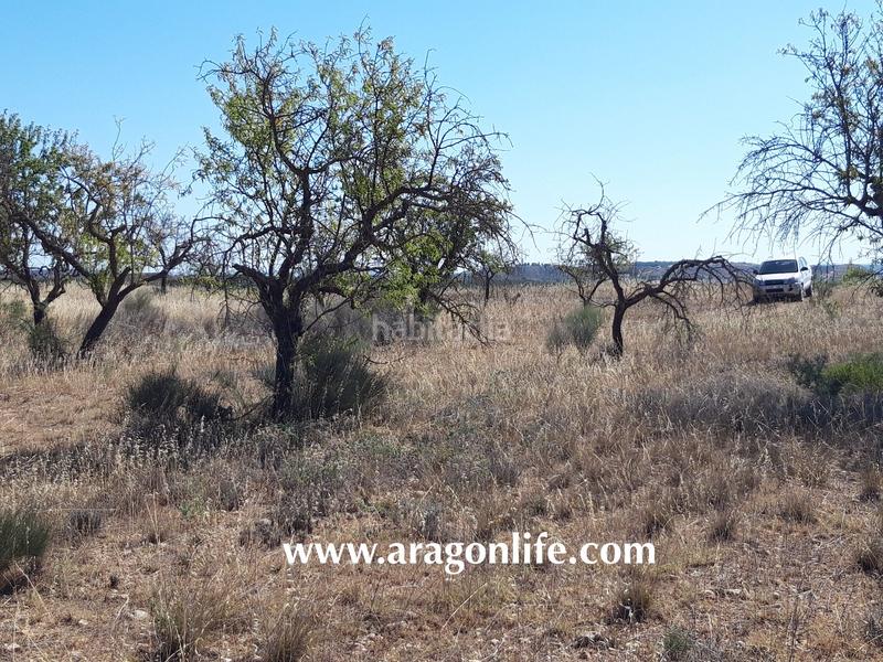 Foto 0a00a697-0afd-4bc7-aaf4-7afa90e690cd. Finca rústica a Fabara