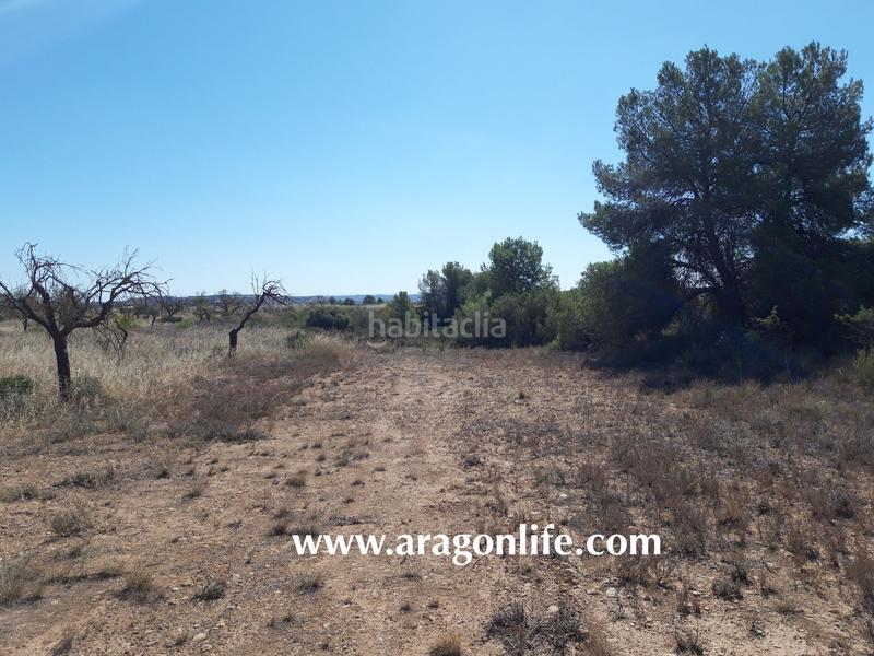 Foto 172a639b-aa77-47a9-8491-22386f0b6a61. Finca rústica a Fabara