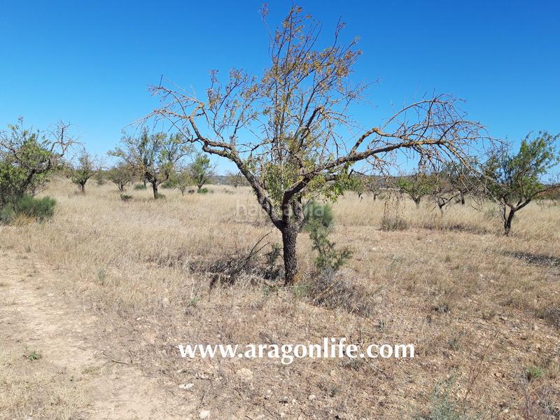 Foto 1eb51c91-7d63-4670-b5de-17570afe4c25. Finca rústica a Fabara