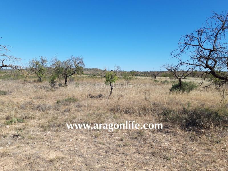 Foto 386deb3e-a920-4f42-b698-18502e6b76d0. Finca rústica a Fabara