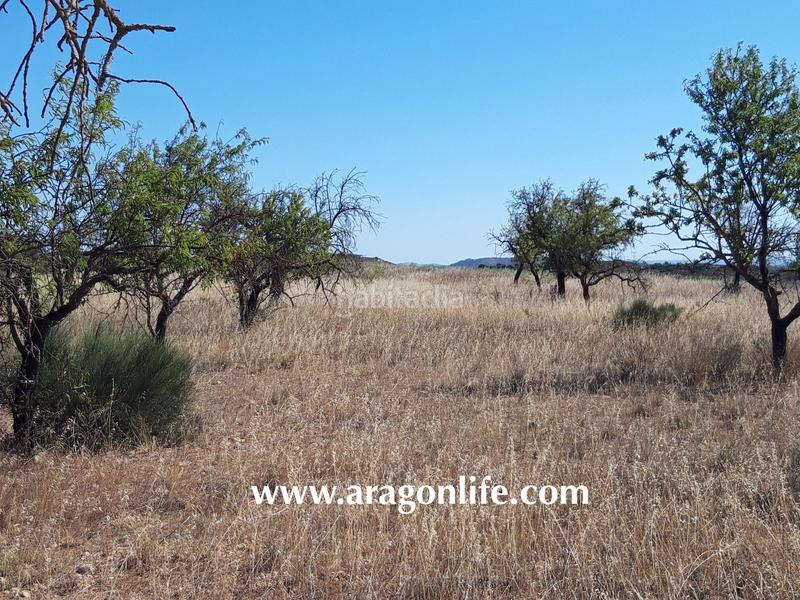 Foto 3cea80d9-69d5-4390-a276-92b38c330268. Finca rústica a Fabara