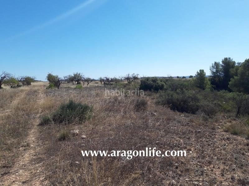 Foto 43bd6da1-620b-4a1d-a77e-d63bd2c203b7. Finca rústica a Fabara