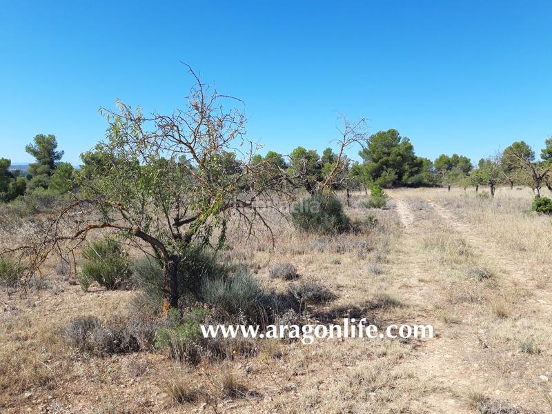 Foto 484e5c25-0e24-473e-98c2-3f80a3bd91ca. Finca rústica a Fabara