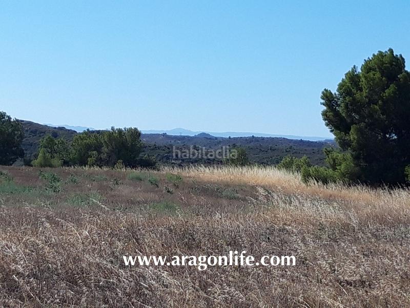 Foto 49e0f923-6264-4478-ad40-aa13d7166bee. Finca rústica a Fabara