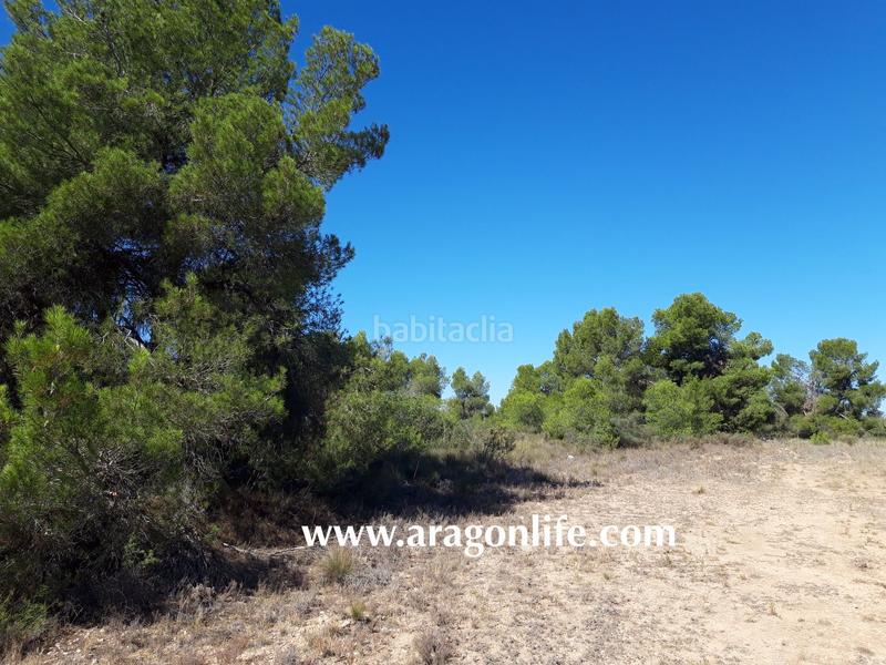 Foto 51e104e5-2348-46d8-b70b-9e673bfcb4b3. Finca rústica a Fabara