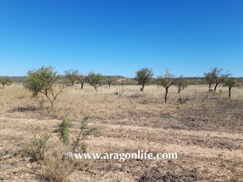 Foto 551132af-89b8-4003-a895-c6ae962b039d. Finca rústica a Fabara