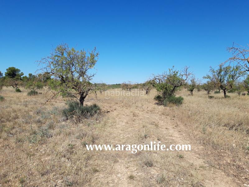 Foto 7ea51c04-bcb7-4ec6-aa96-6820e8f3e263. Finca rústica a Fabara