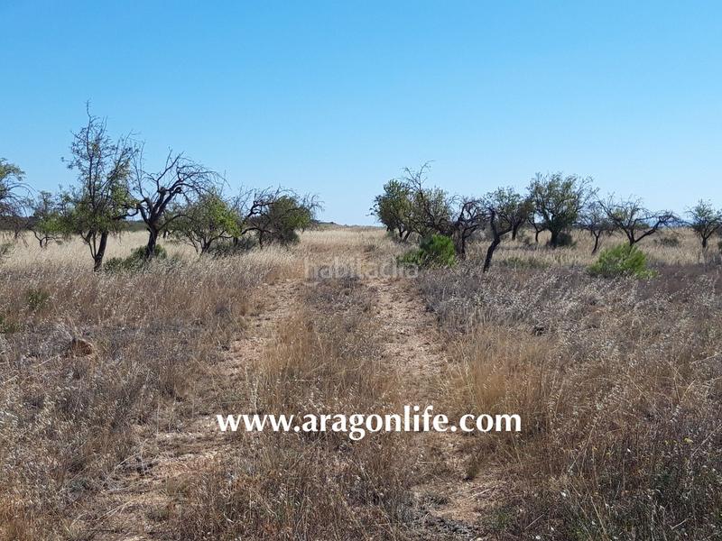 Foto 9608420c-1eac-4211-bec8-1edf31a80671. Finca rústica a Fabara