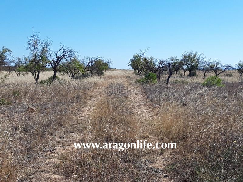 Foto b4cec0cb-1efb-4f4f-9463-d4bbbc4b366c. Finca rústica a Fabara