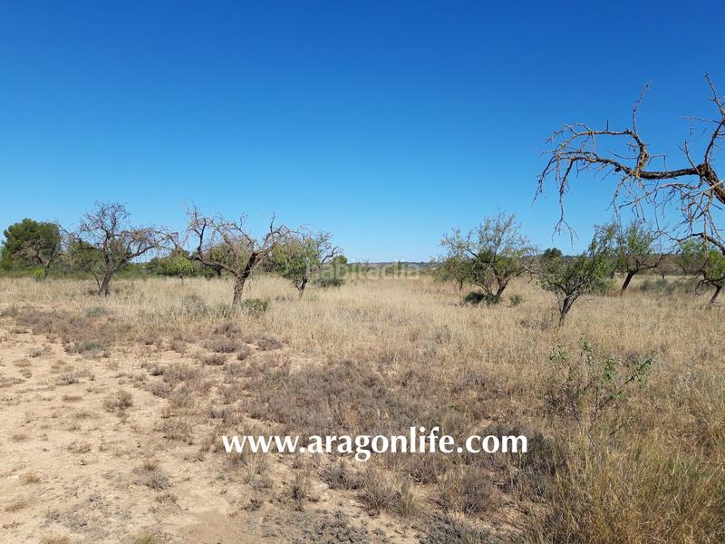 Foto b8eb1e81-99b3-4d0f-91da-32985e0bfda5. Finca rústica a Fabara