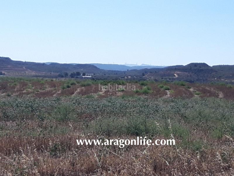 Foto bcbcfac5-a54e-40d7-9085-cea343e97087. Finca rústica a Fabara