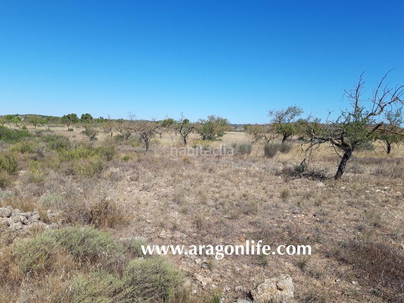 Foto bf1ef870-042e-40e3-97b7-8b024a826e97. Finca rústica a Fabara