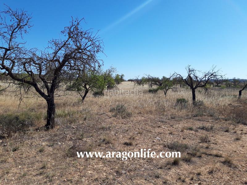 Foto c49295e9-6606-46f2-b004-9ca95debb7bf. Finca rústica a Fabara