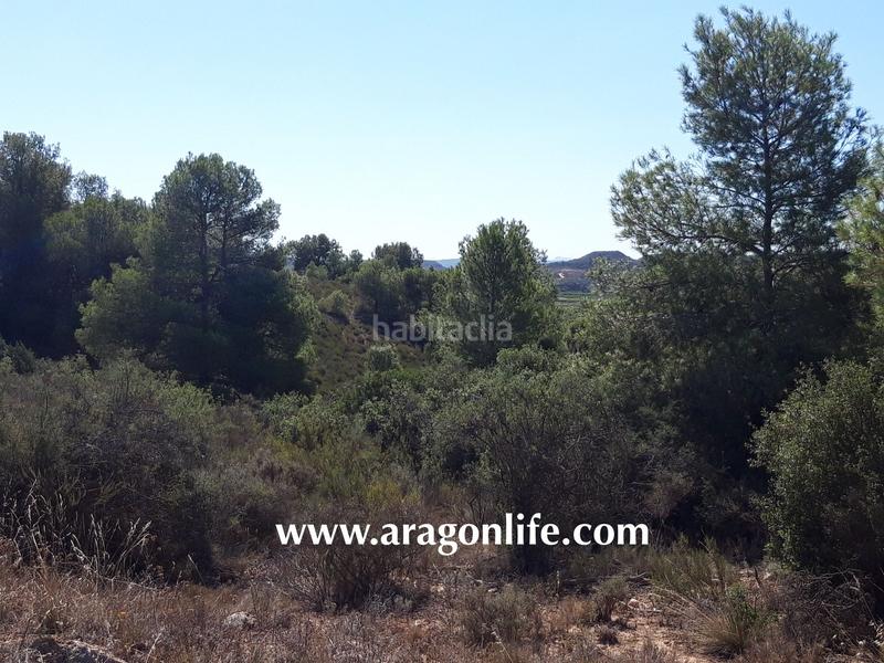 Foto e27a1446-6f95-4660-aa7c-c485264e1010. Finca rústica a Fabara