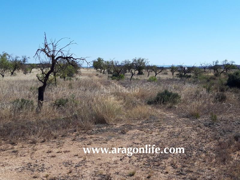 Foto fcb51107-acc4-45df-8e7e-a00b6c7c904a. Finca rústica a Fabara