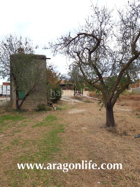 Foto e1fda2ed-16d8-411a-bbf2-9fb856638458. Masía en calle bermúdez de castro 2 casa de 30m2 + terreno de regadío de 1.505m2. . 26.000€ en Maella