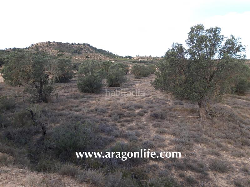 Foto 3a377ed6-cdae-45b5-8098-ac2b07ed86ed. Finca rústica a Fabara