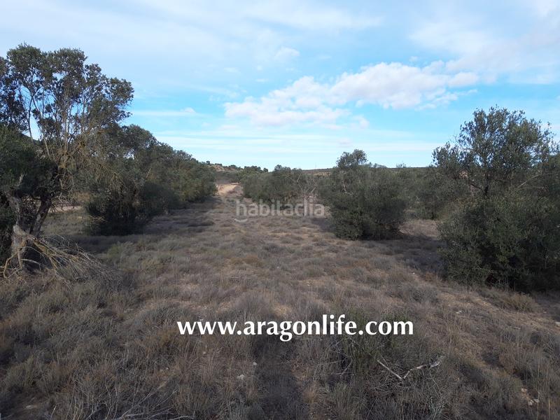 Foto 820e625a-0318-4341-b651-a3dced0b16eb. Finca rústica a Fabara