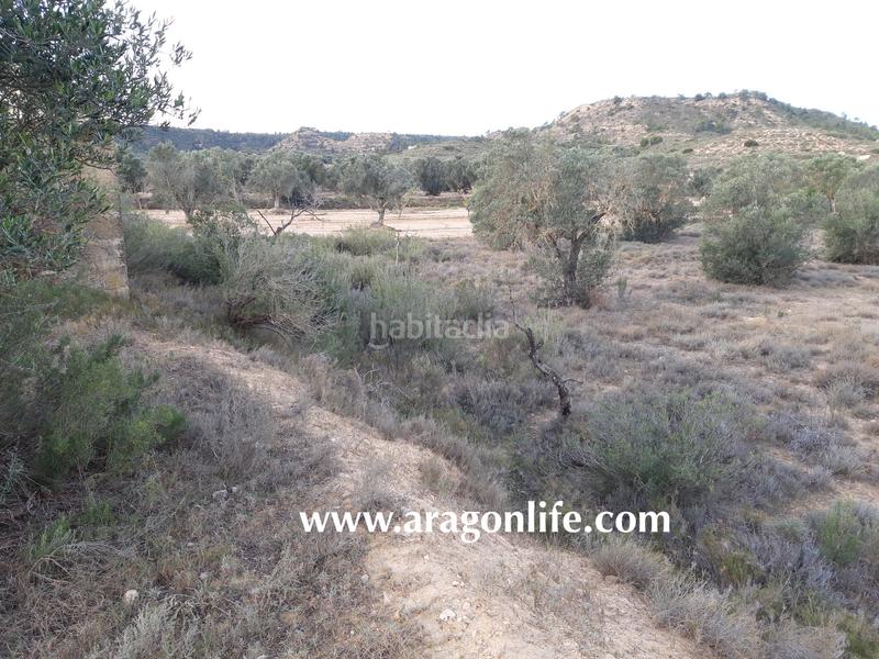 Foto bfa78982-49f4-4602-bacb-b85ca11023ed. Finca rústica a Fabara