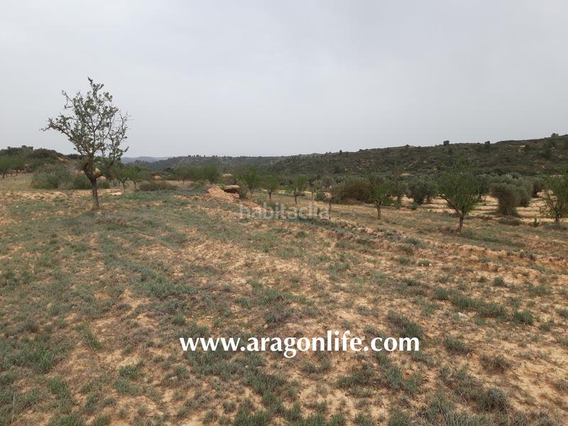 Foto 35b31633-5c5e-40d3-960a-bc6e98d81c69. Finca rústica a Maella