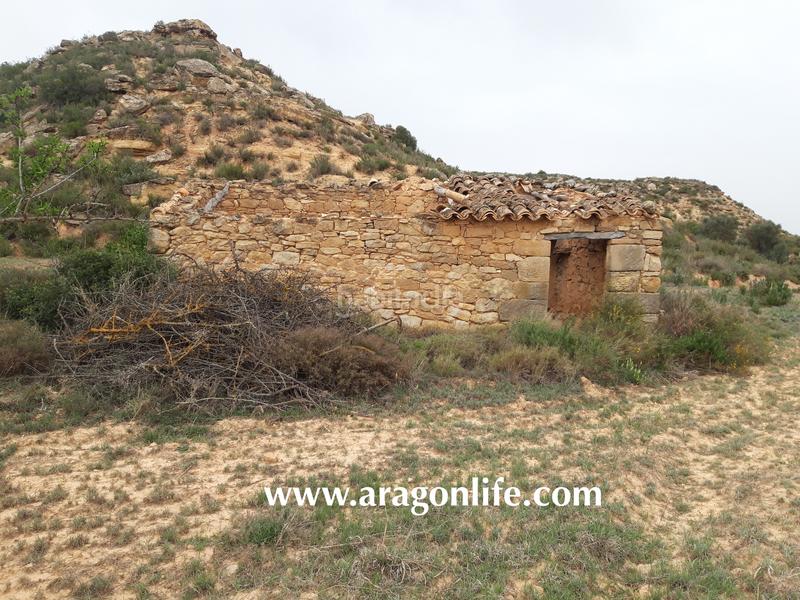 Foto 6e9fda93-a87b-40bd-bc44-cb0240be1e9e. Finca rústica a Maella