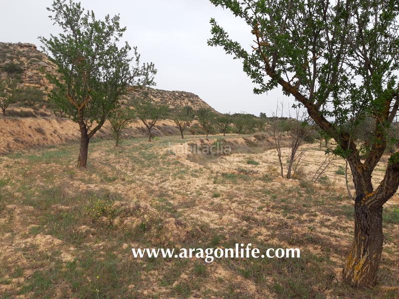 Foto 8c13bea8-cbf2-48a2-817c-18e5253b04f1. Finca rústica a Maella