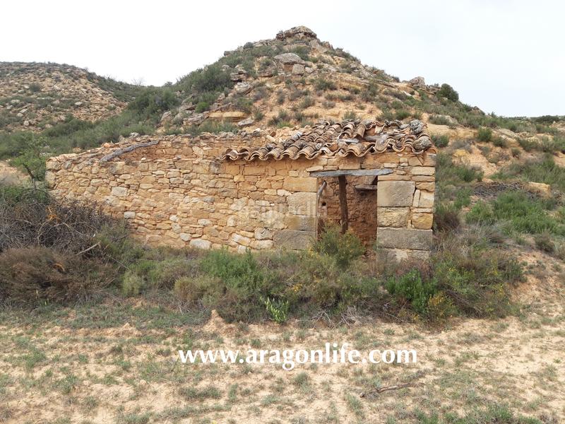 Foto 9ce13dba-216d-43a5-9edf-a63b71384fba. Finca rústica a Maella