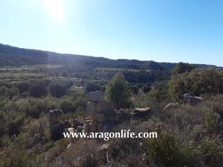 Finca rústica a Maella. Finca de secano de 3'3ha (33.000m2)+ 1'2 ha roturadas. restos ed