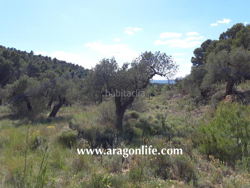 Foto 7f89e569-fb08-4c7a-a933-7e9432194bc1. Fondo rustico in Gandesa