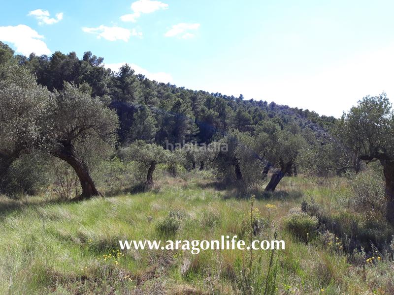 Foto be9e05f4-3a0d-4eb4-a4e8-33bd8b8fe61d. Fondo rustico in Gandesa