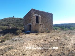 Finca rústica a Maella. Finca de olivos de 5.060m2 + casa de 62m2. maella. 18.000€