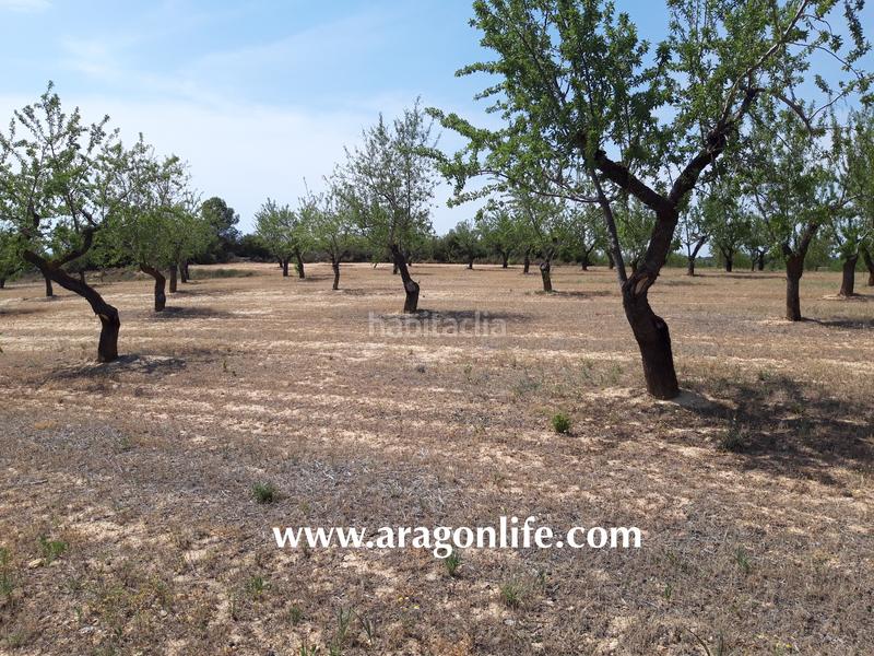 Foto 5d6b0603-a0df-47a3-859f-aa9f85d4805e. Finca rústica a Calaceite