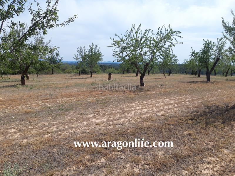 Foto 6ad01474-481e-4035-a4ec-bf8f91f541e4. Finca rústica a Calaceite