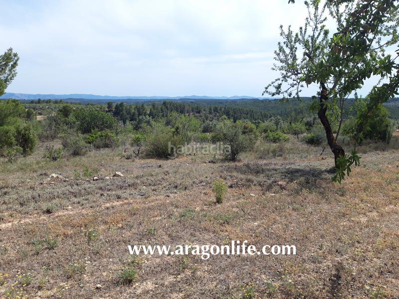 Foto 7e11650d-f628-48a6-ba43-569aee2e8290. Finca rústica a Calaceite