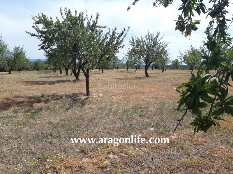 Foto bc99002a-9bb8-413e-b076-b263c31b9244. Finca rústica a Calaceite