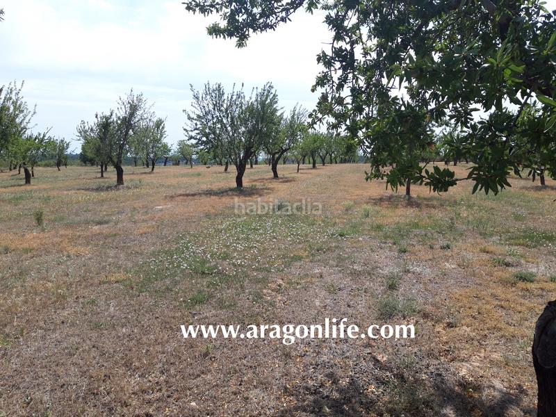 Foto cc743165-405a-4842-9152-ef8876abb8f0. Finca rústica a Calaceite