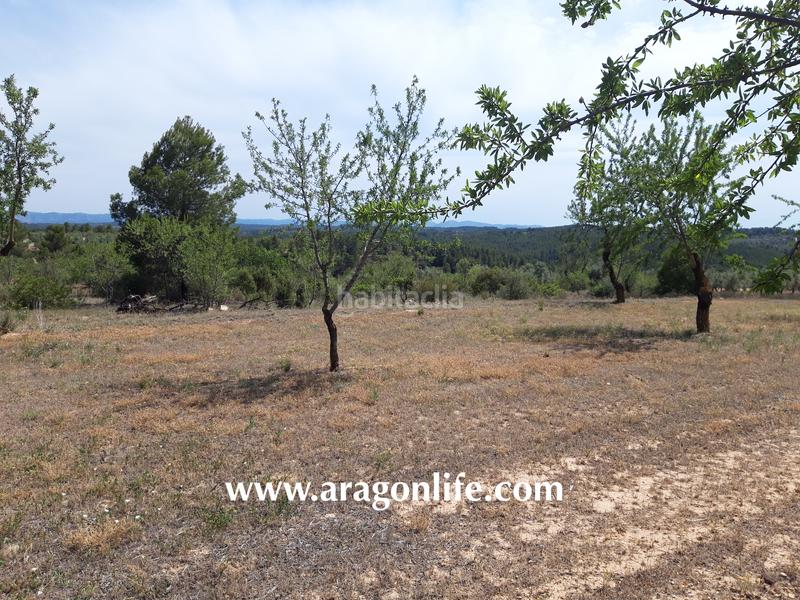 Foto d16554a3-75b6-4e6f-81b1-9346059d2c7a. Finca rústica a Calaceite