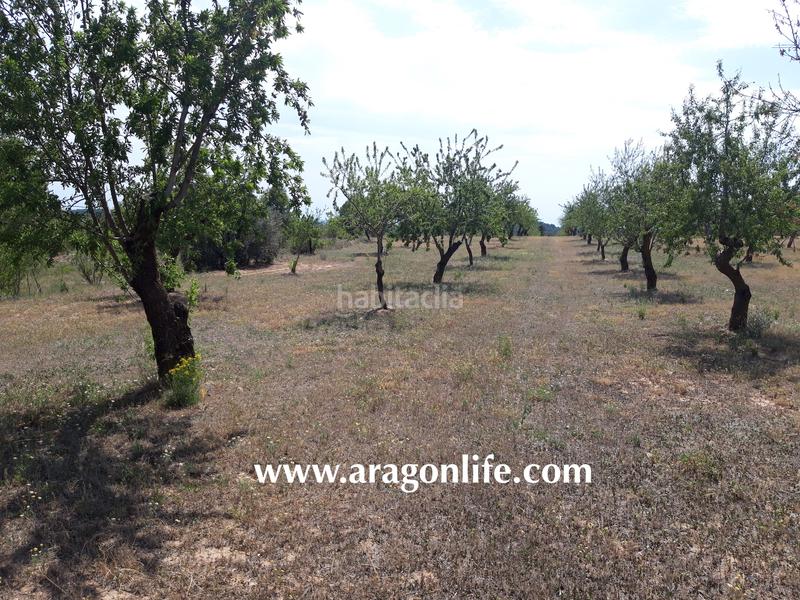 Foto fdaeb672-b558-4914-903a-588485707fb2. Finca rústica a Calaceite