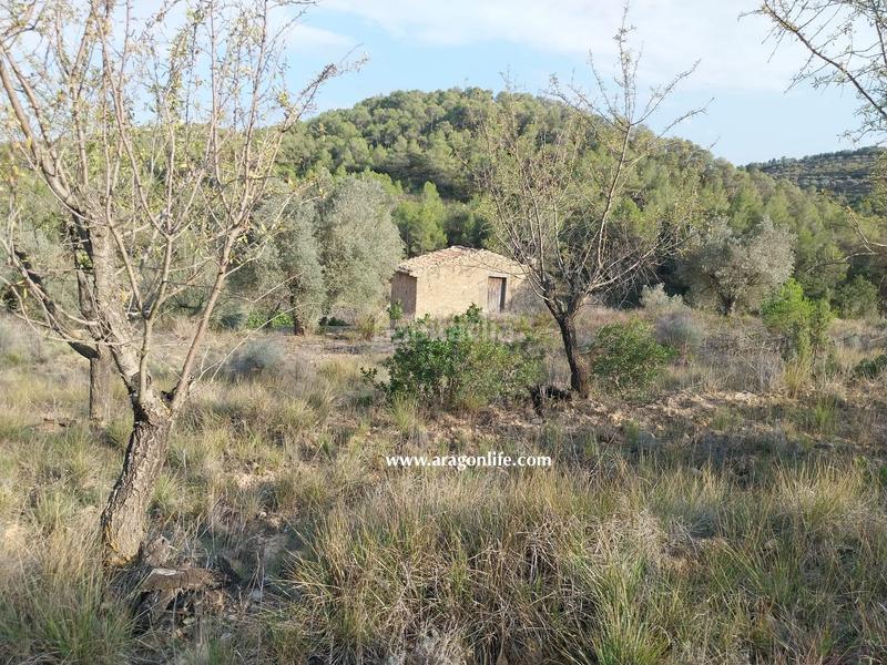 Foto 0db1dbe2-9b43-40e6-af11-a67262ff7fe6. Masia a Caseres